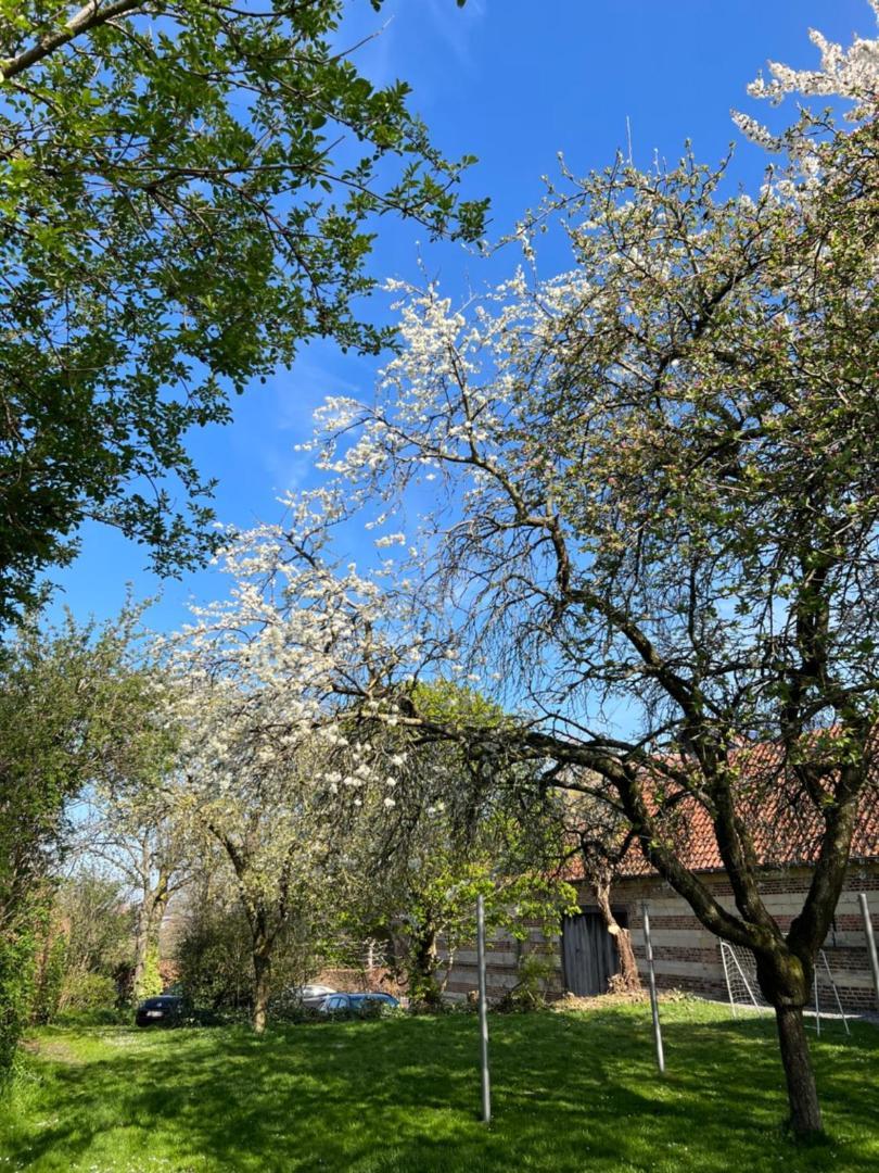 De Zwarte Stok Vila Riemst Exterior foto